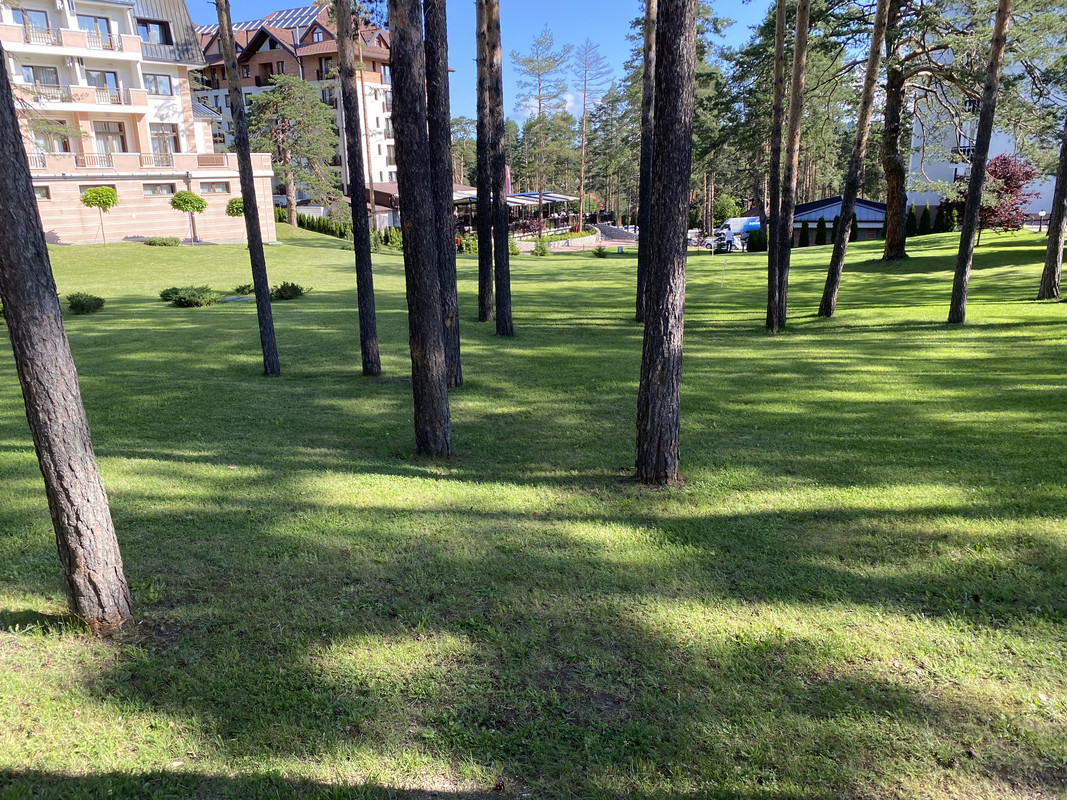 D6820BFF-BFBA-45BF-8F91-D313CFFF35EE