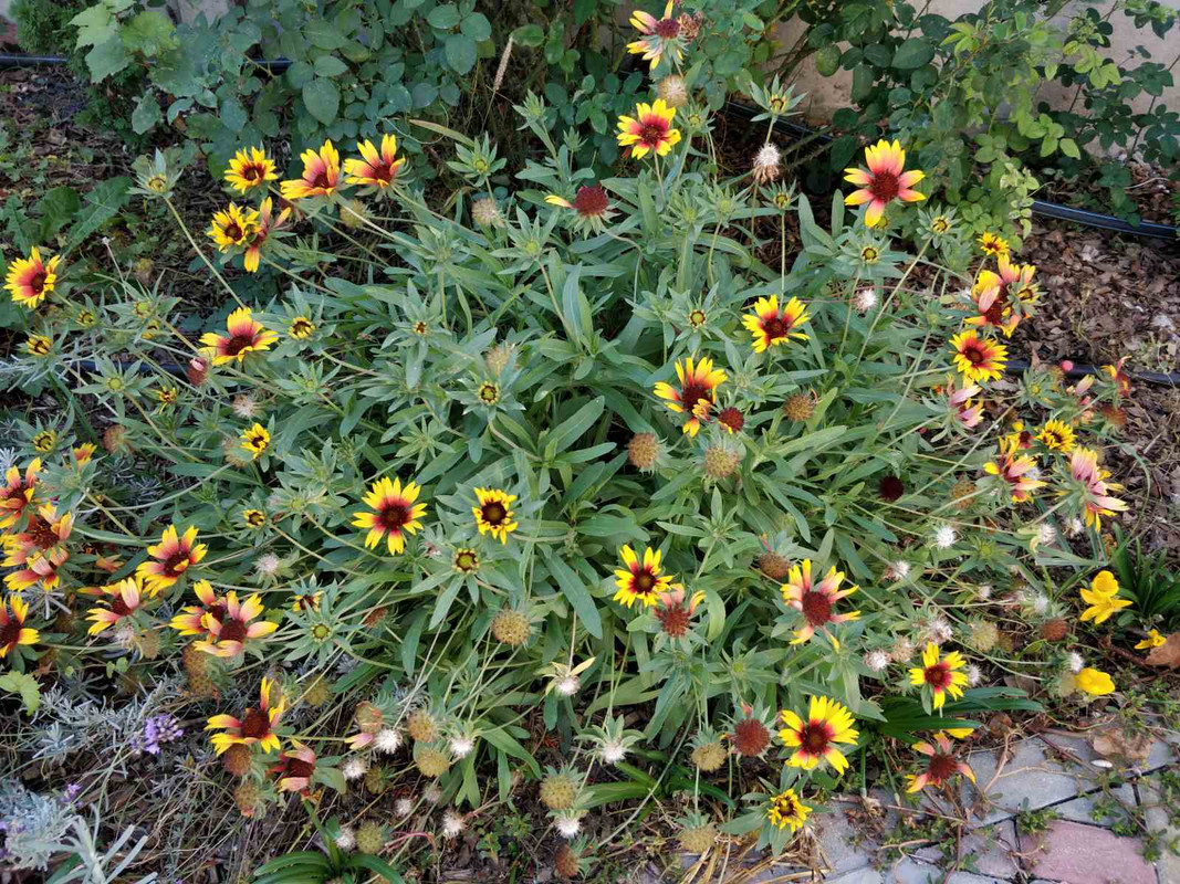 изображение_viber_2023-10-30_11-03-37-899