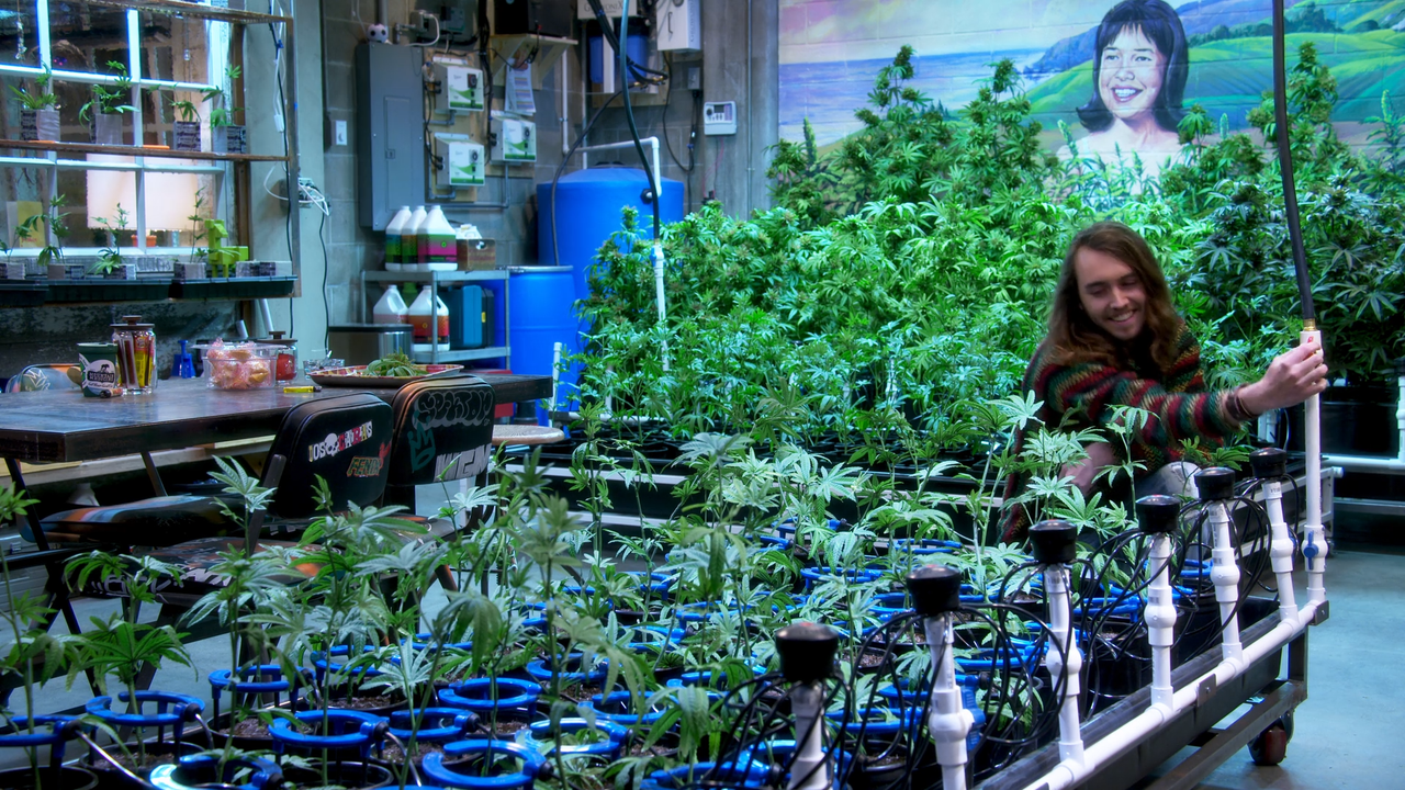 Disjointed.1x01.La,Varieta.Omega.ITA.ENG.1080p.N
