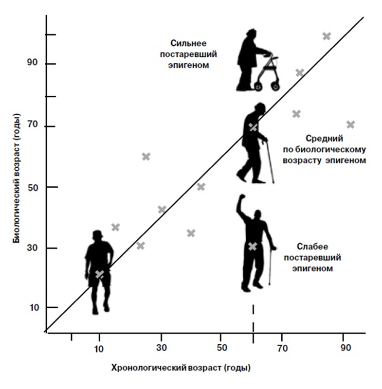 Новый рисунок