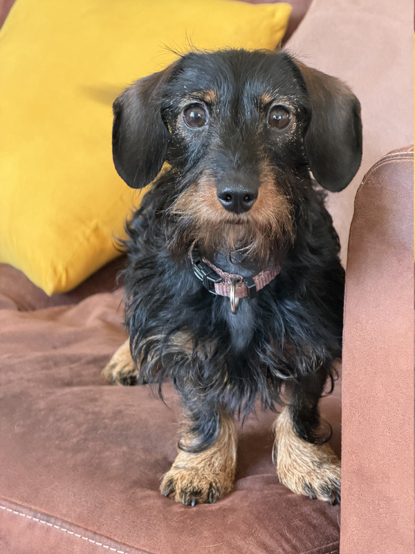 [Image: IMG-0438.jpg]