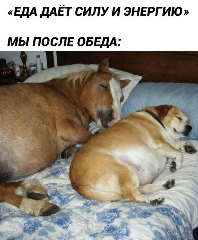 [Изображение: izobrazenie-viber-2026-03-25-14-33-59-564.jpg]