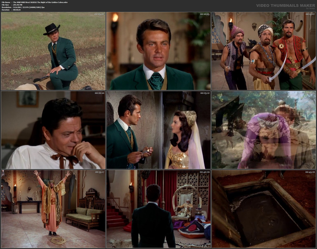 The Wild Wild West S02E02 The Night of the Golden Cobra.mkv