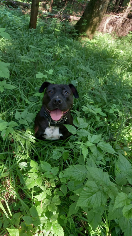 2BA4C9C9-3A16-4865-B8B6-60ABD9BEEABA