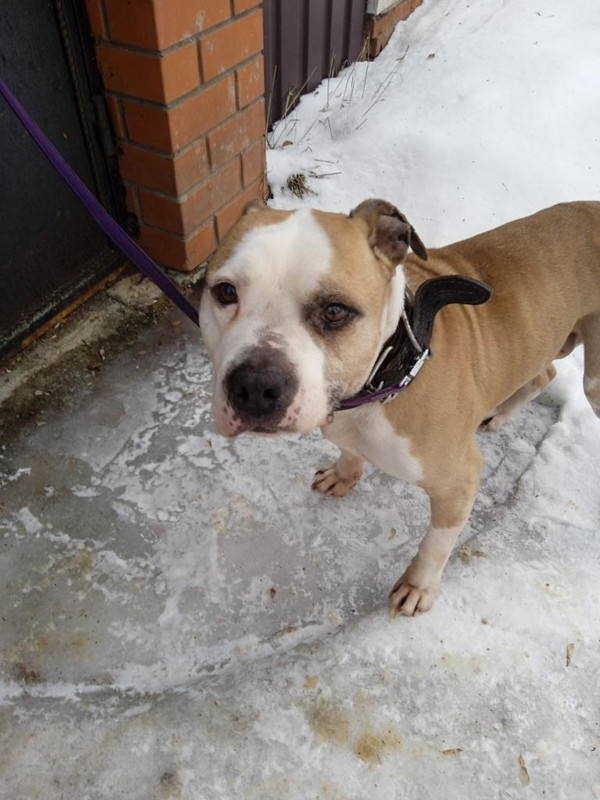 675851FF-7FE3-4A2B-B875-F29DE0CEB9D3