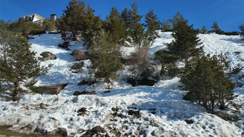 Paseando por España-1991/2016 - Blogs de España - PUERTO DE NAVACERRADA Y COTOS-2006/2009/2013/2016-MADRID (50)