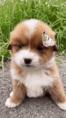 daily-gifdump-3636-30.gif