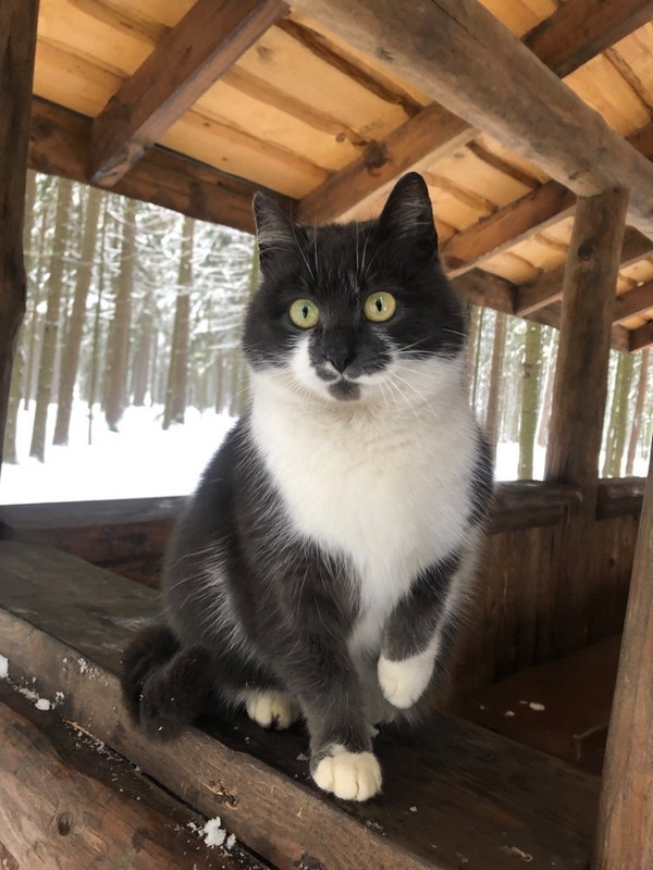 65611C73-87DA-4213-85A3-3B5BA4F1BD57