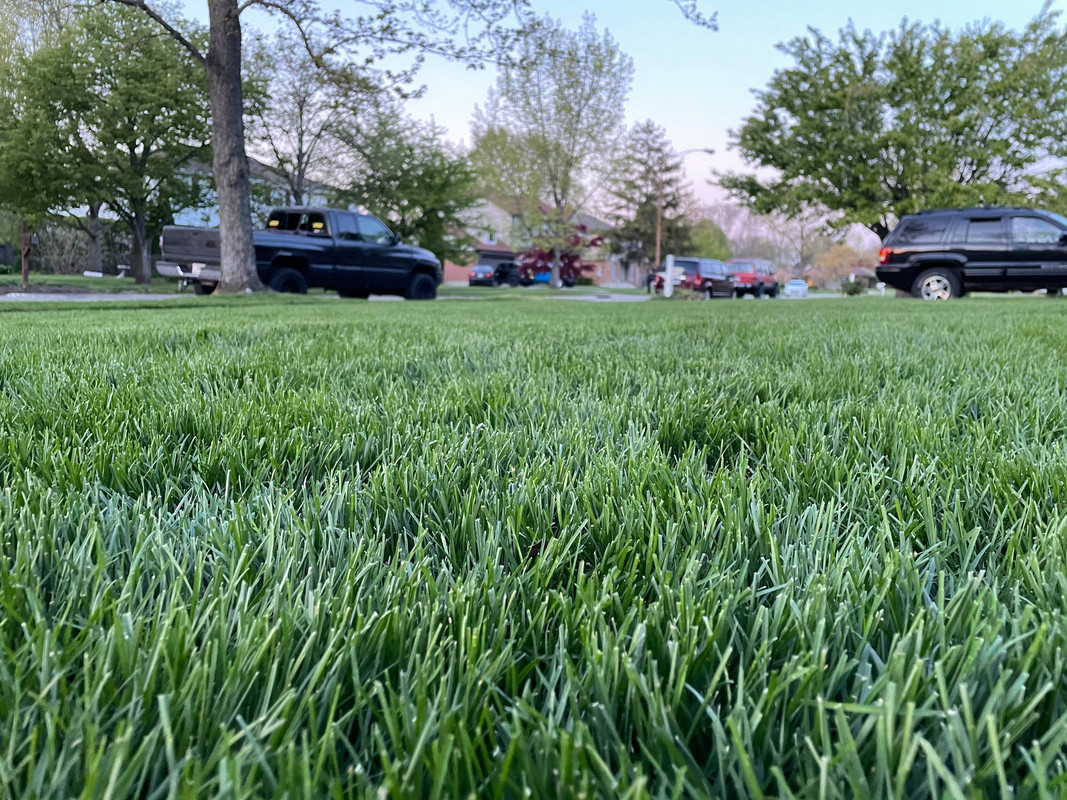 176601178_263664058819755_3462995168687207989_n