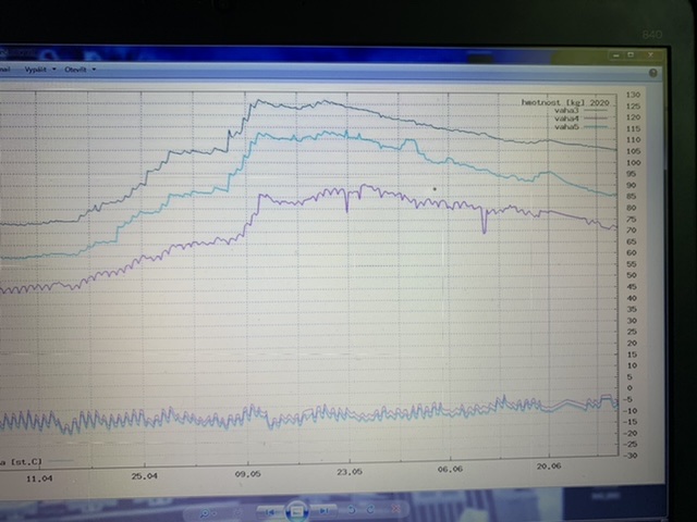 2A500A00-4909-49BD-8201-937495F2AC6F