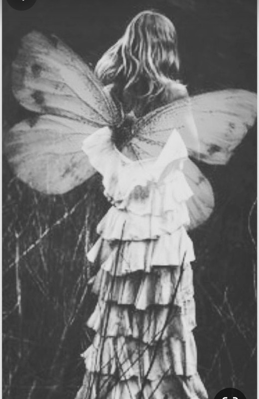 Screenshot_20240117_233541_Pinterest