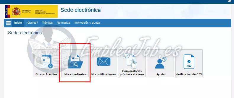 Consultar expedientes Ministerio de Educación