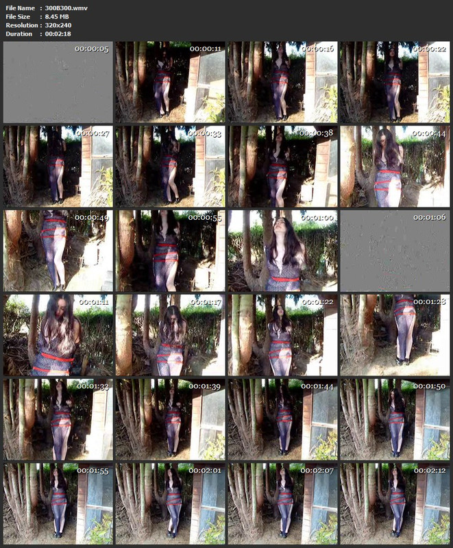 300B300.wmv