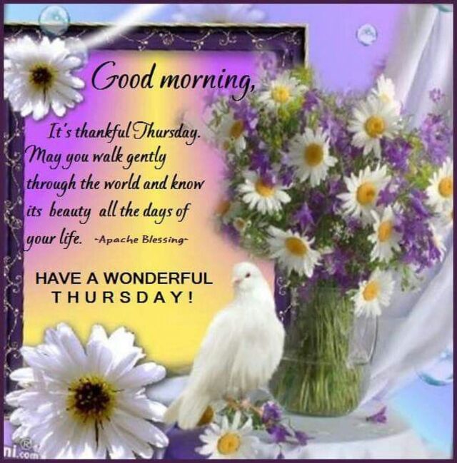 An den Beitrag angehängtes Bild: https://i.postimg.cc/ZKv5Tps1/oie-1975810-LFMO42-Lh.jpg