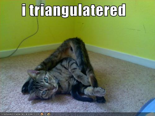 funny-pictures-cat-is-in-triangle