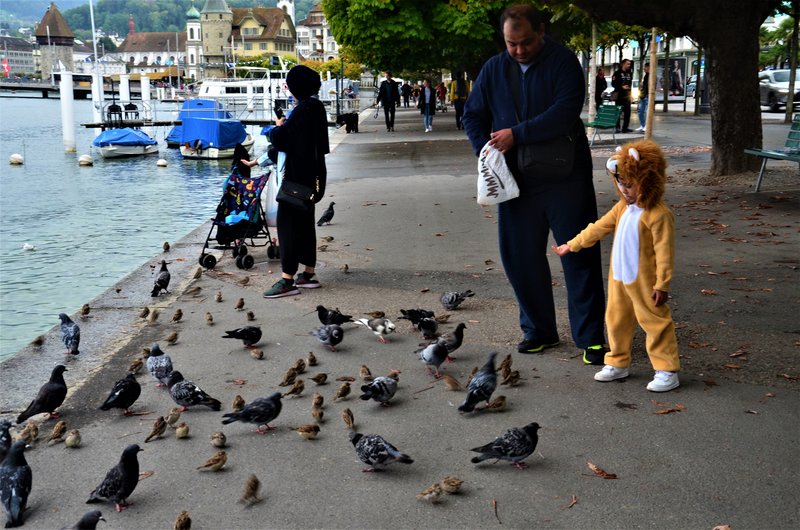 LUCERNA-5-9-2019 - Suiza y sus pueblos-2019 (80)