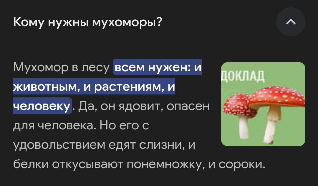 Screenshot-2026-04-04-20-33-26-282-net-upx-proxy-browser-edit.jpg