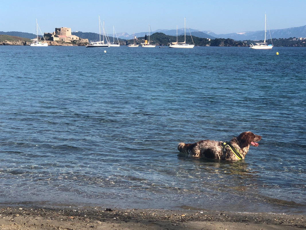 AD59D22B-E48B-4DD7-8B1C-6F59AA2A23BE