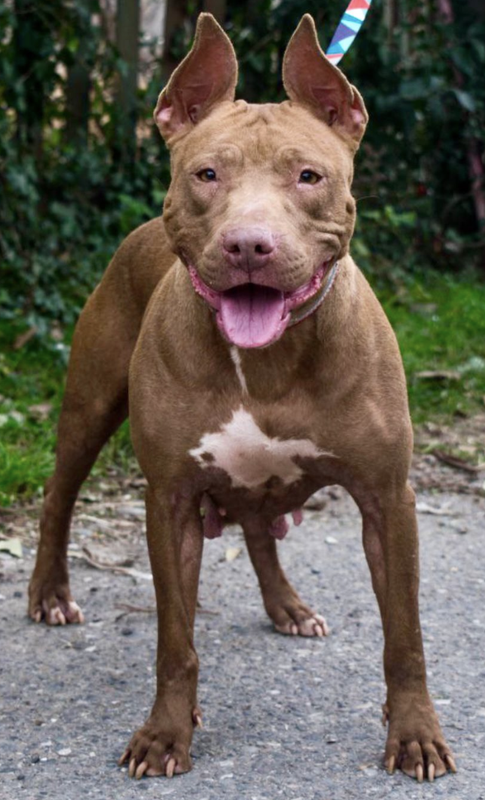 Снимок экрана 2024-05-30 в 20.04.18