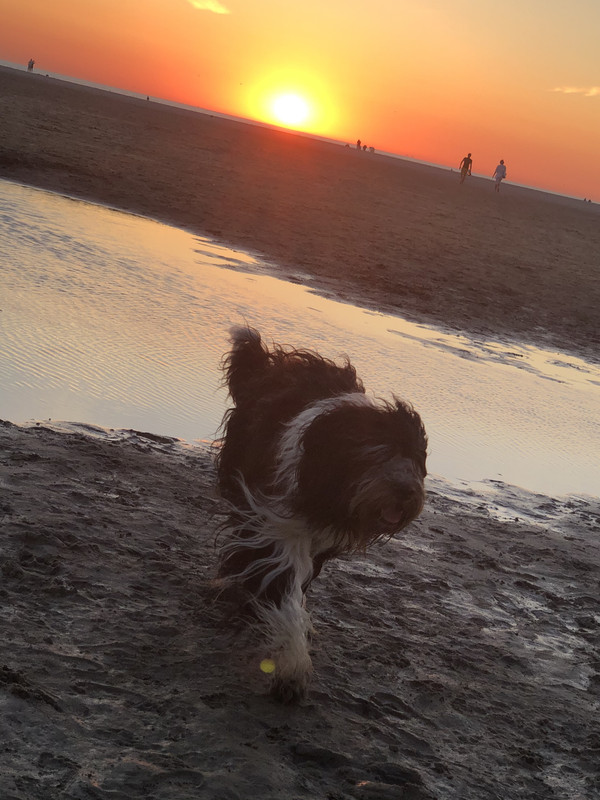 2DE866DD-0496-4164-8DDA-1F1AB5575E8E