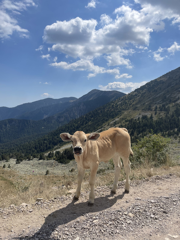 6EE917E0-2394-4F5D-8287-48383843B3EE