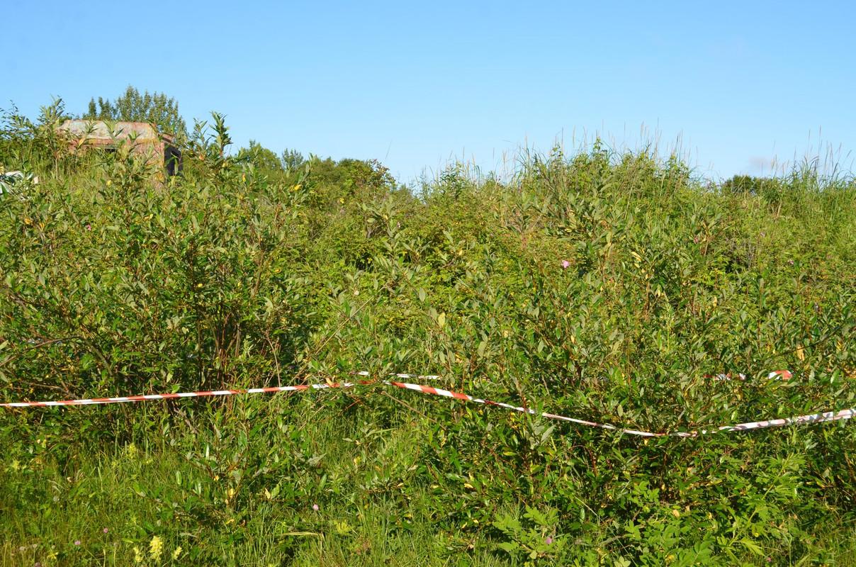 DSC-6815.jpg