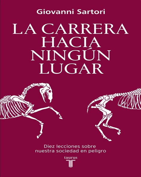 Xl12.jpg