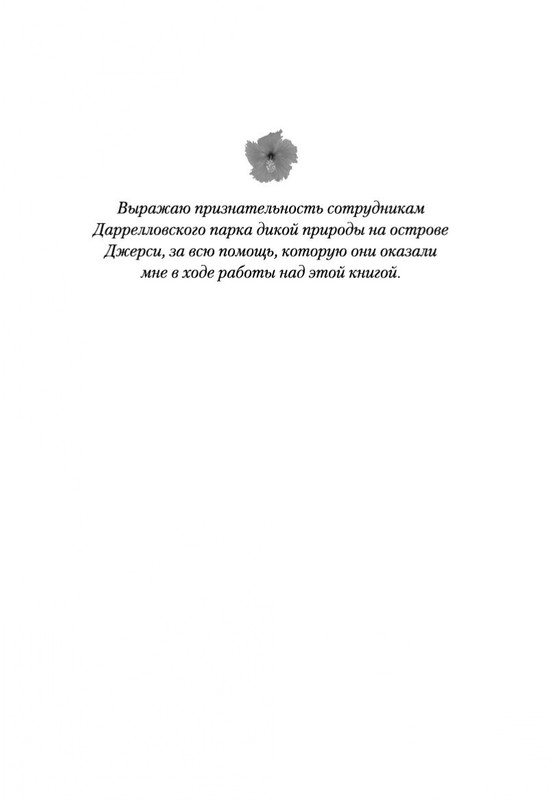 2-page-0005