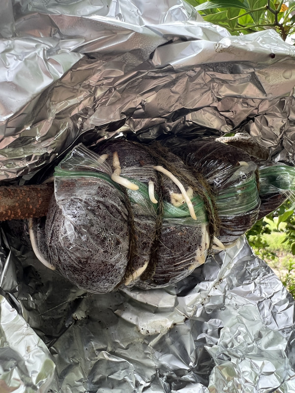 EC62BBF9-41FC-4BA0-9484-97DD289E892D