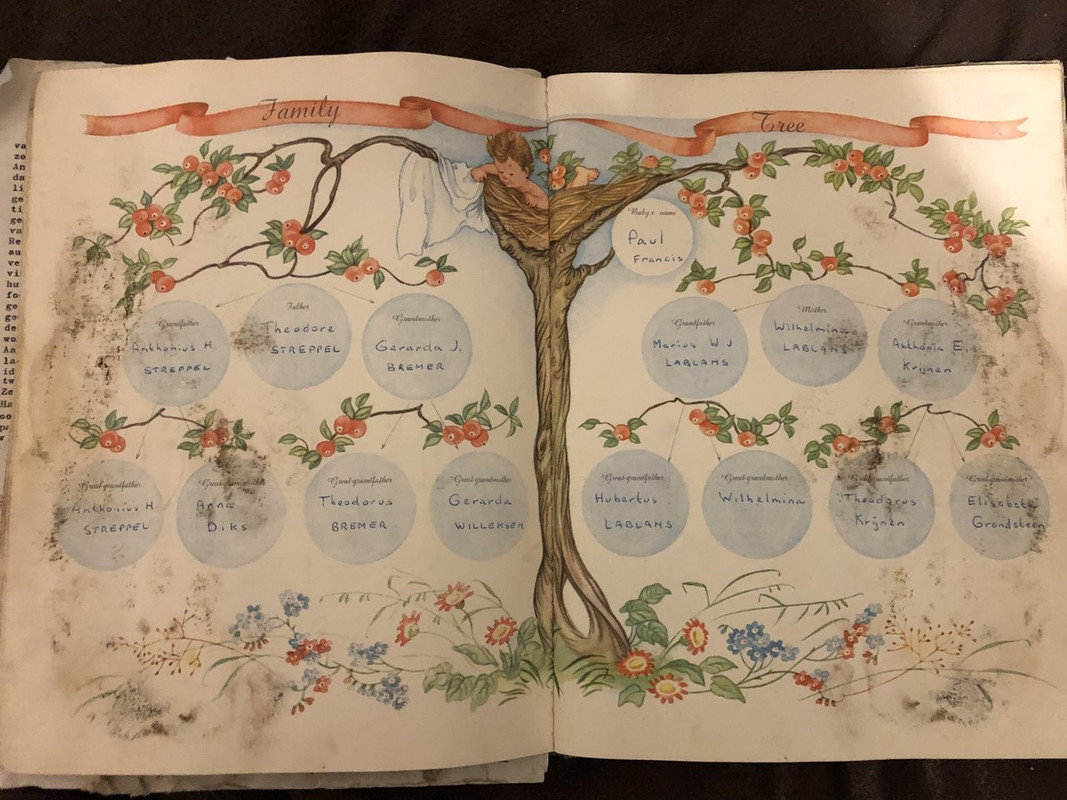 ECC81F11-CF12-4282-A8C6-8D45E348E5CA