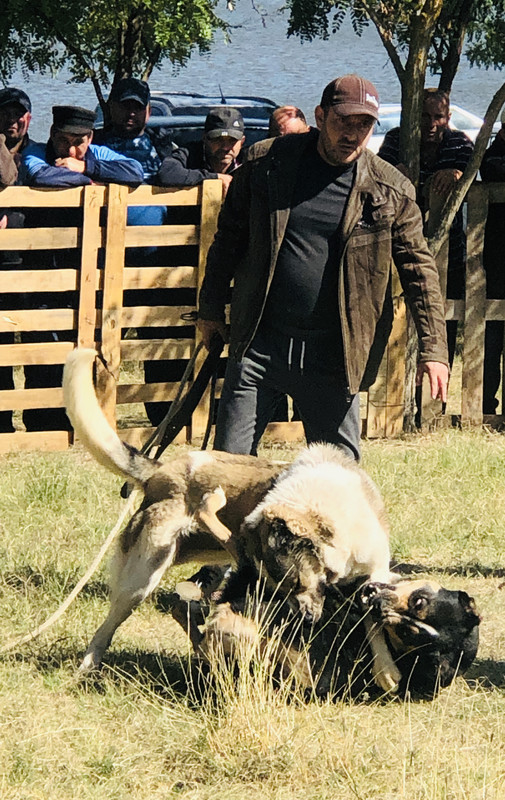 D708FCFF-268D-423B-93C6-916B4277034D