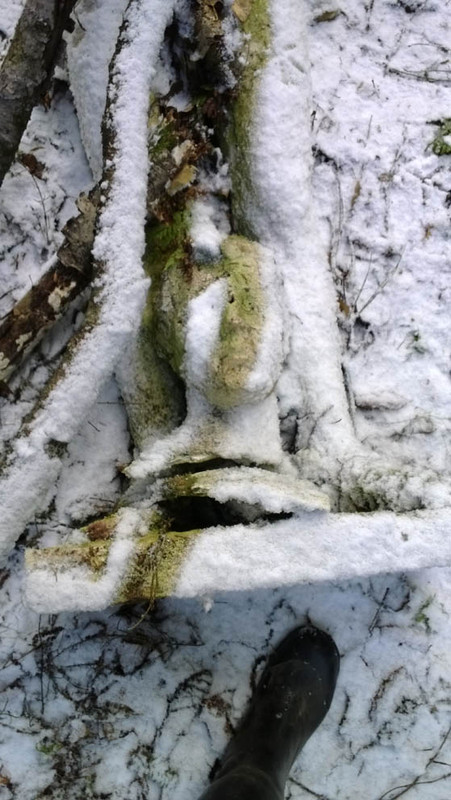 ukko1