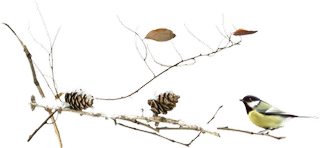 26239484-10210788520094436-4295206901939295345-n-removebg-preview