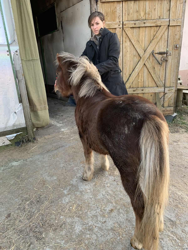 54026366-45CC-4970-873D-A5F91D8ECF9B