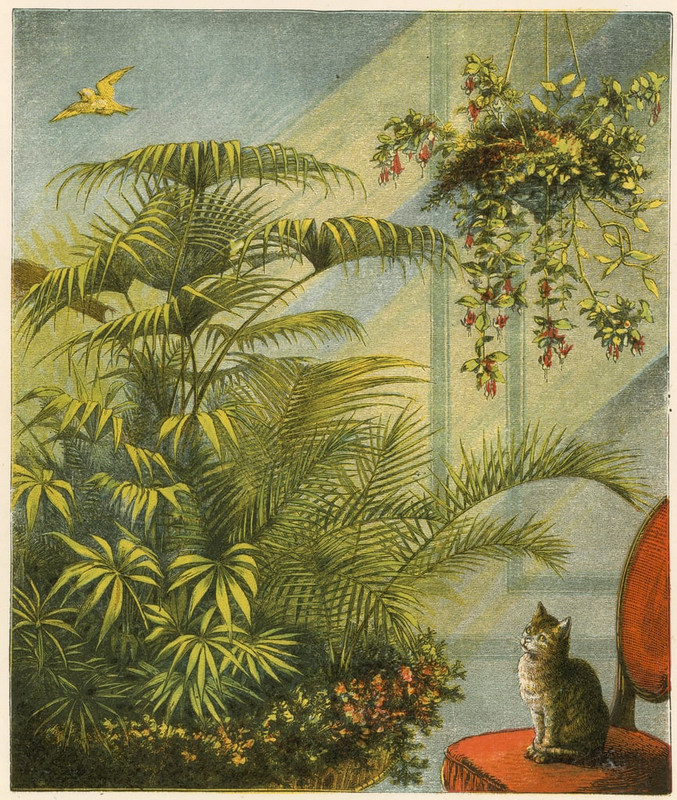 English_School_-_Pussy_and_Dicky_Cat_and_Canary_-_(MeisterDrucke-37143)