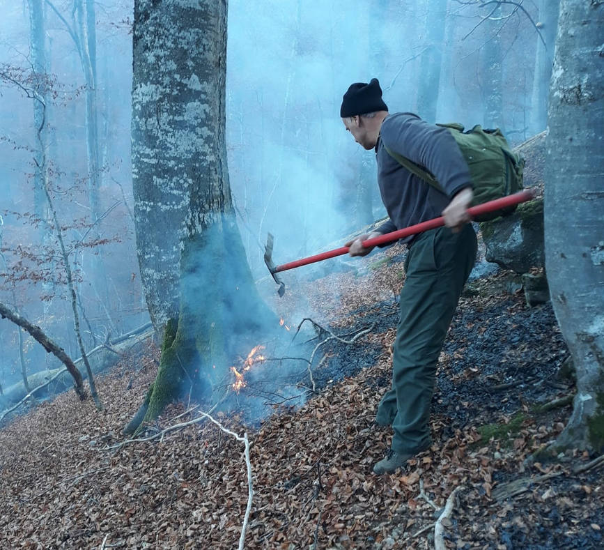 [Imagine: Incendii-la-fondul-forestier-din-zonele-...-Tereg.jpg]