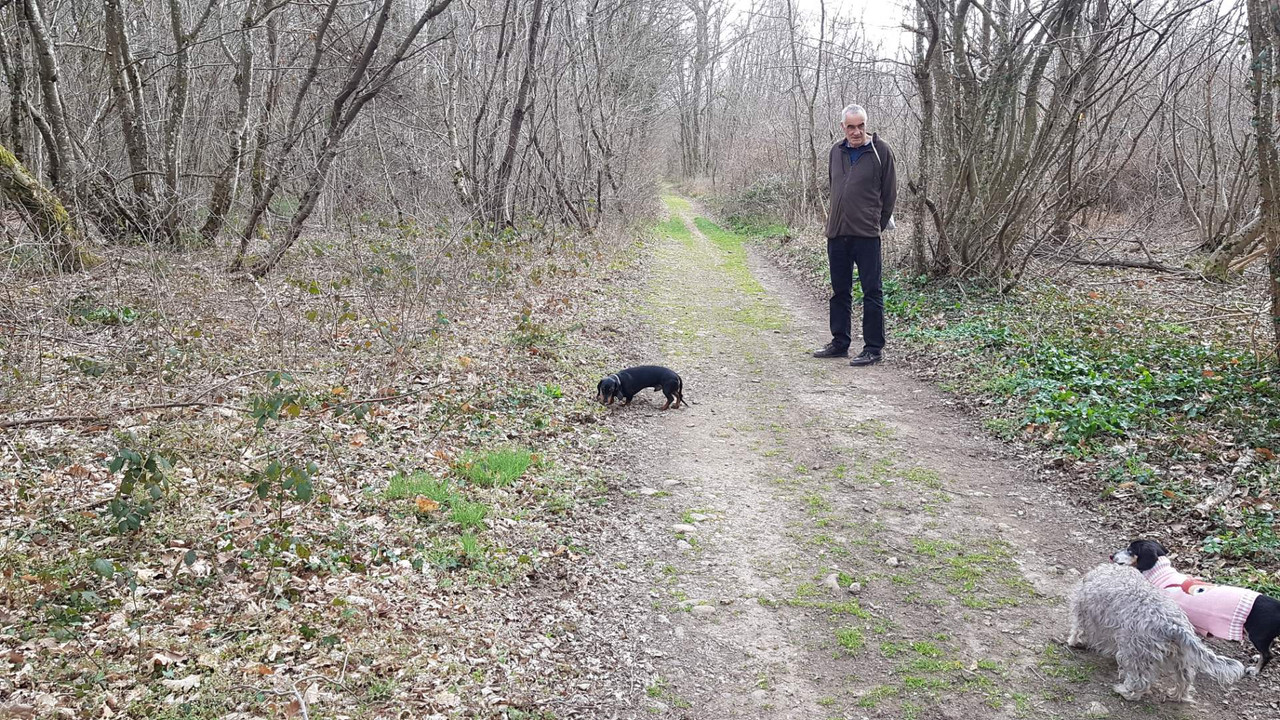 [Image: IMG-20210314-163339.jpg]