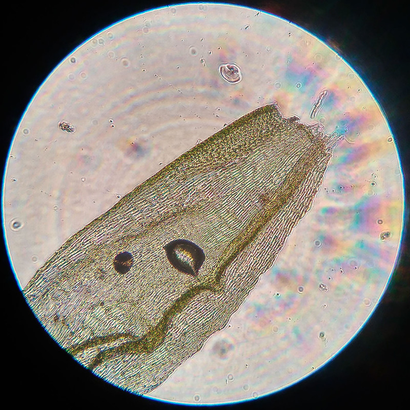 IMG 20250616 212606 HDR