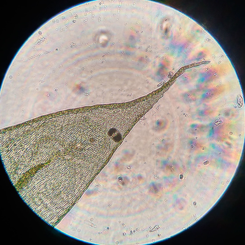 IMG 20250616 212940 HDR