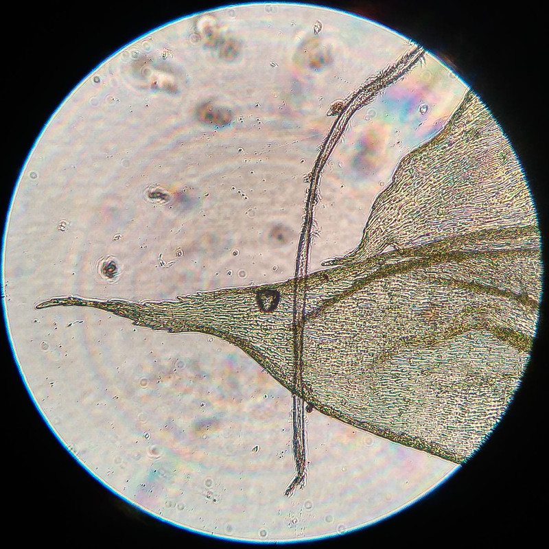 IMG 20250616 212853 HDR