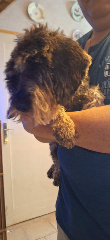 [Image: 20250910-161133.jpg]