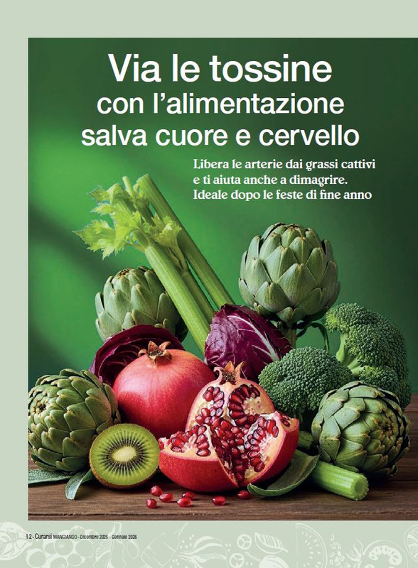 Cur Mang Dic 2025 Gen 2026 (1)