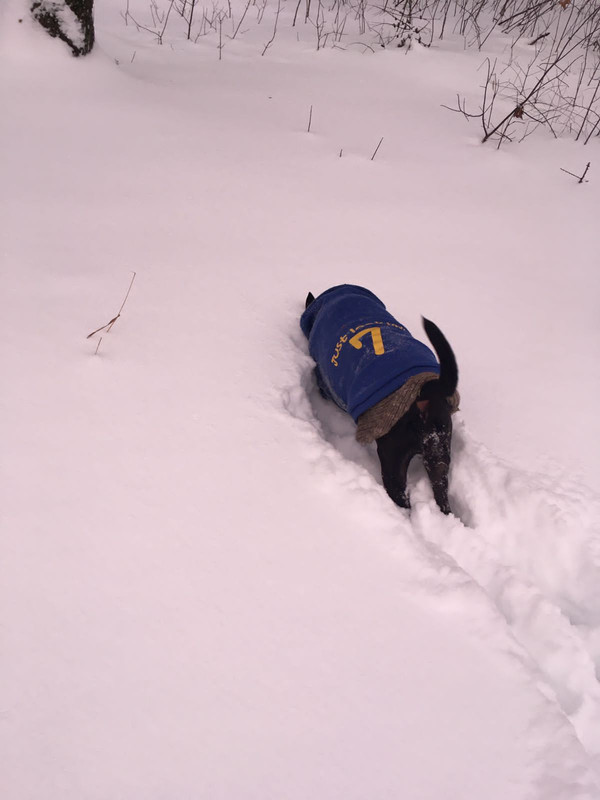 AC221E54-911B-4DEA-9C54-9BE6CE58C9E7