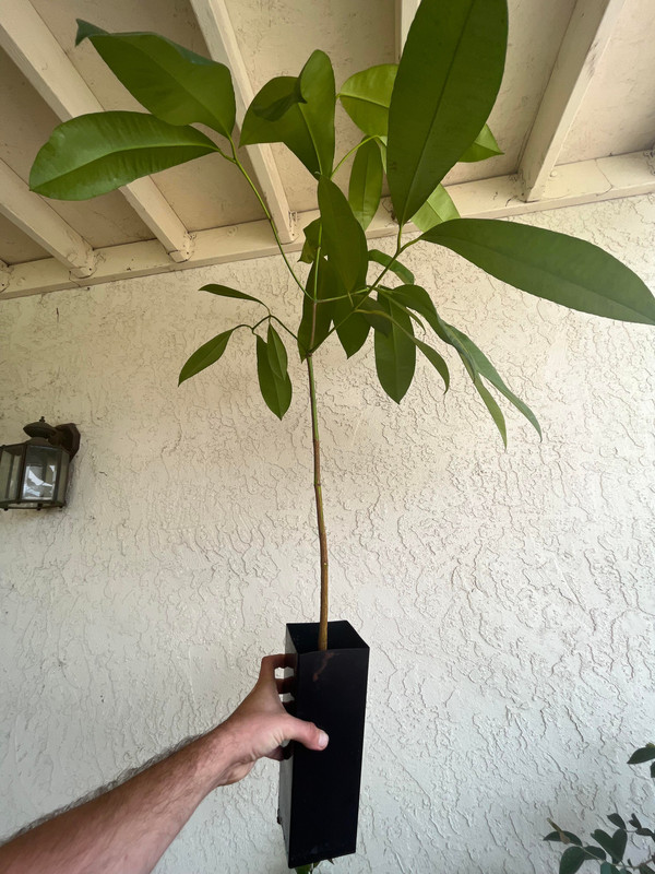 278599596_551554432995193_2690874173467141132_n