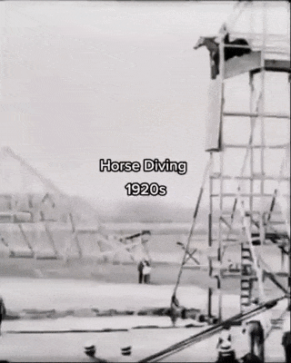 https://i.postimg.cc/ZKy68Hcg/ezgif-1-b5625850c91c.gif