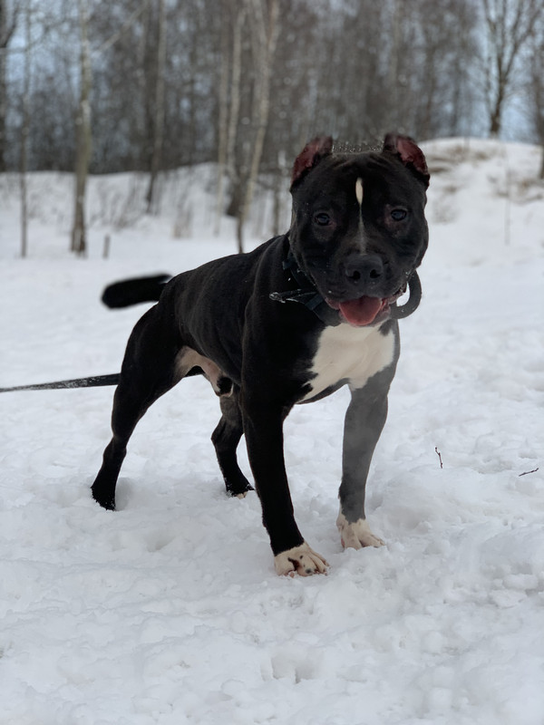 5678DF40-F0F0-4E01-A9B4-936485035375