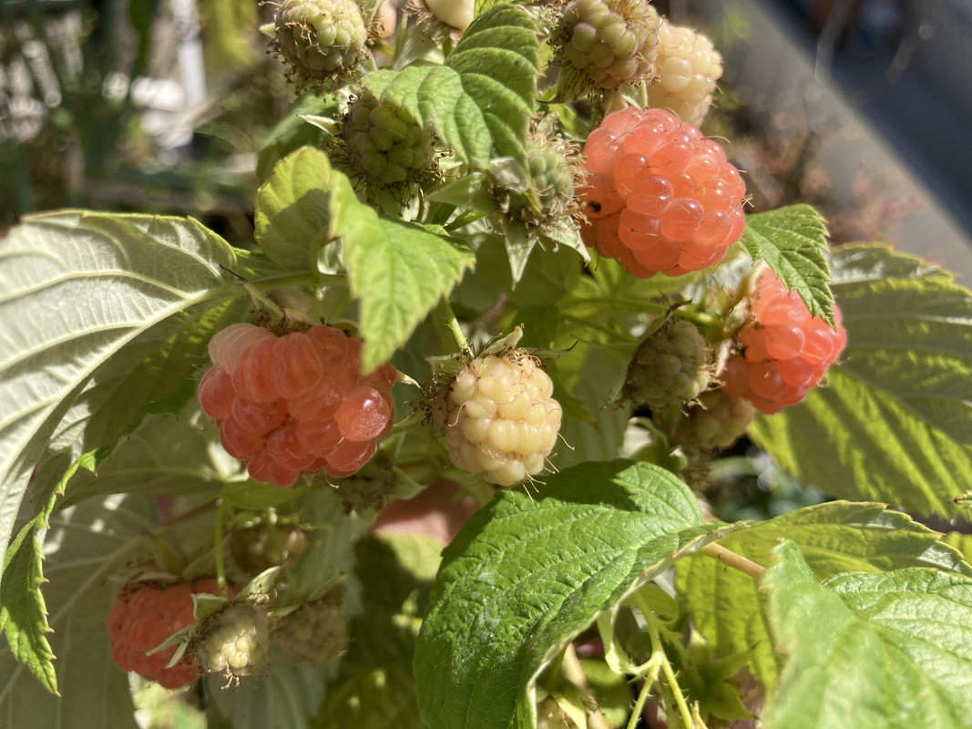 460665F1-4883-4CB4-A011-0E74A06F8AAA