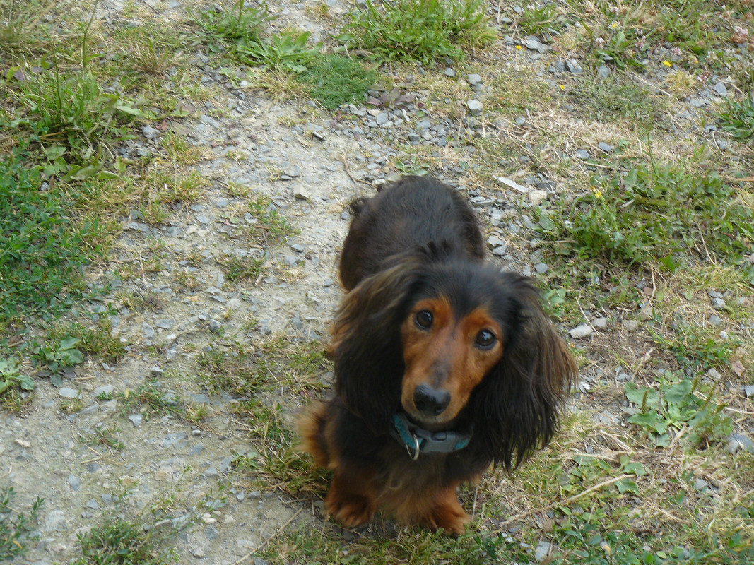 [Image: P1240390.jpg]