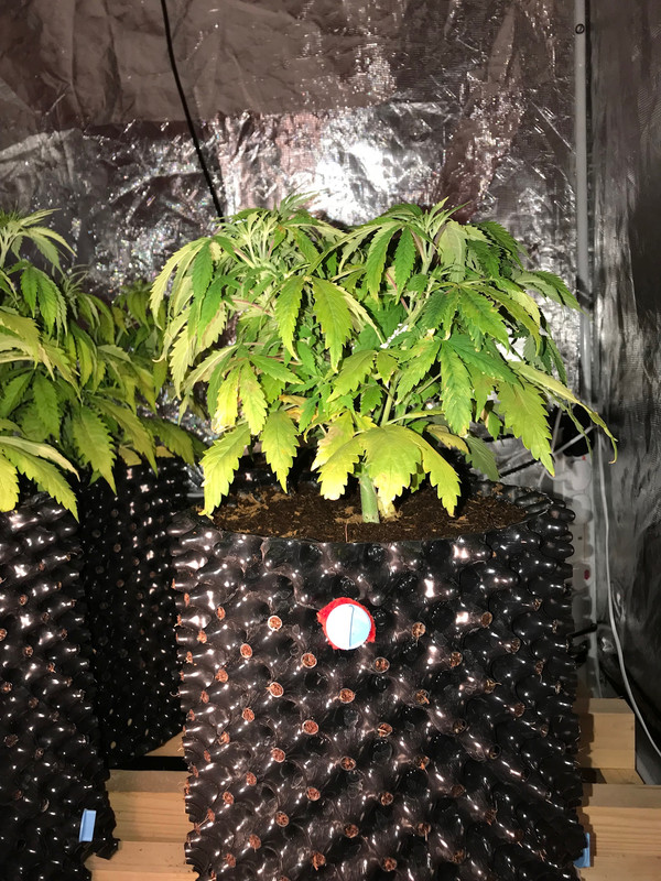 EA7CBC43-A251-4B0F-AAC6-EC1F607AC559