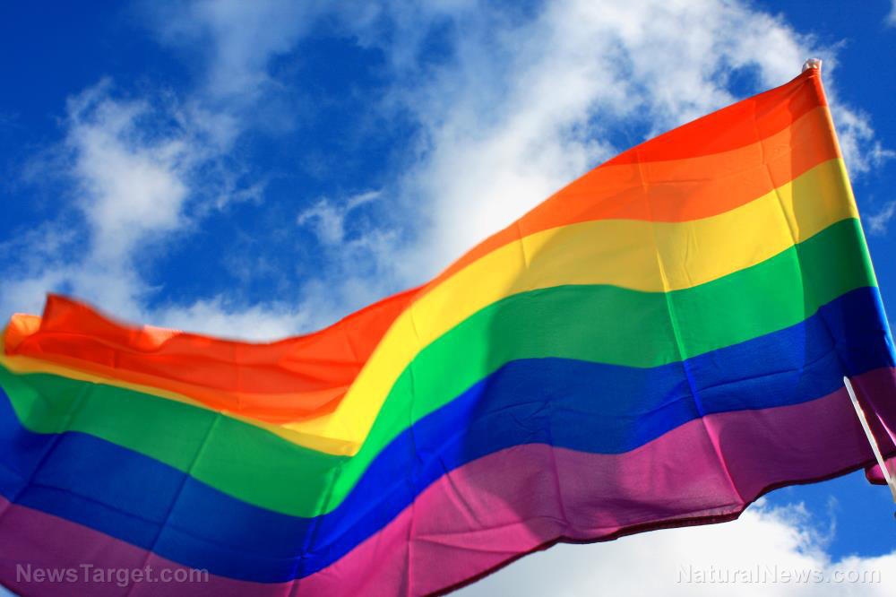 Lgbt-Gay-Flag-Couple-Men-Pride-Rainbow